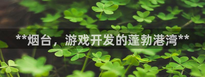 沐鸣娱乐2手机下载破解版：**烟台，游戏开发的蓬勃港湾**