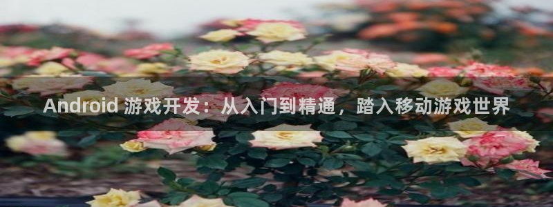 沐鸣2产7O777：Android 游戏开发：从入门到精通，踏入移动游戏世界