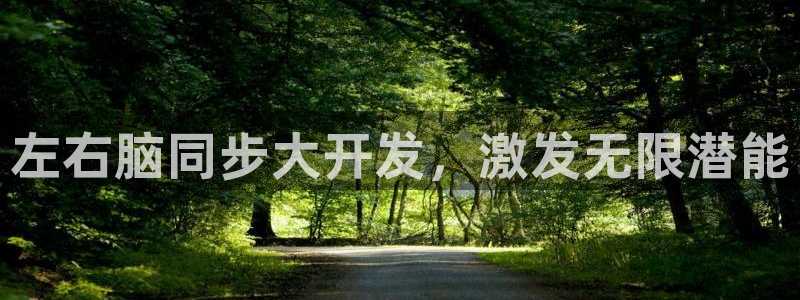 沐鸣2注册地址：左右脑同步大开发，激发无限潜能