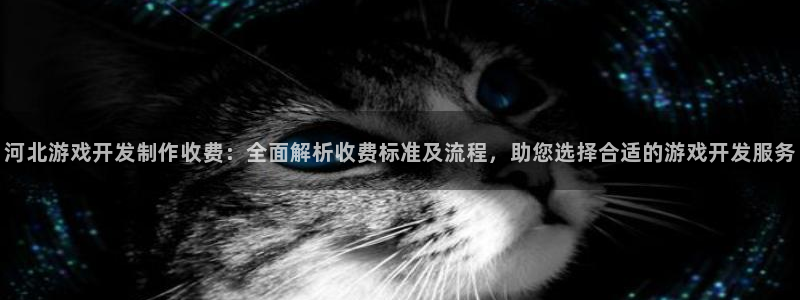 沐鸣2官方登录：河北游戏开发制作收费：全面解析收费标准及流程，助您选择合适的游戏开发服务